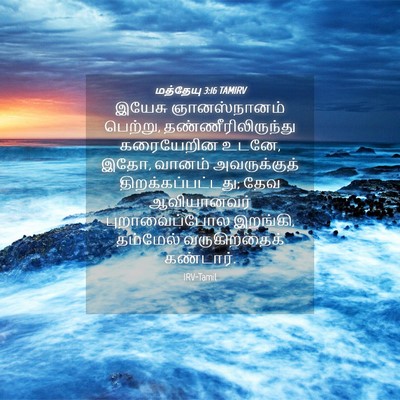 Picture 04 - மத்தேயு 3:16 TAMIRV - இயேசு ஞானஸ்நானம் - Bible Verse Picture