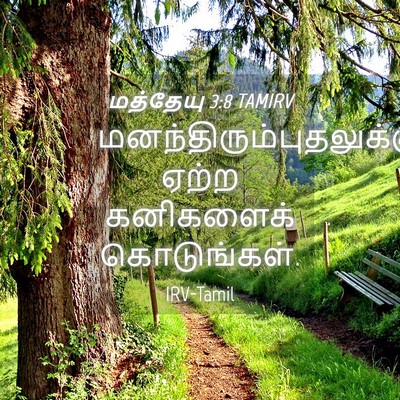 Picture 04 - மத்தேயு 3:8 TAMIRV -  - Bible Verse Picture