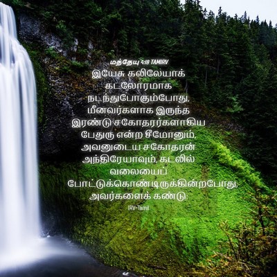 Picture 04 - மத்தேயு 4:18 TAMIRV - இயேசு கலிலேயாக் - Bible Verse Picture