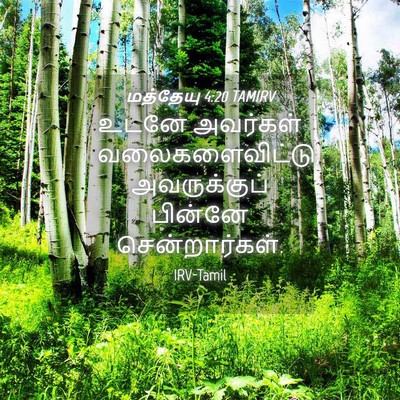 Picture 04 - மத்தேயு 4:20 TAMIRV - உடனே அவர்கள் - Bible Verse Picture
