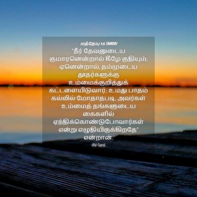 Picture 04 - மத்தேயு 4:6 TAMIRV - “நீர் தேவனுடைய - Bible Verse Picture