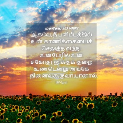 Picture 04 - மத்தேயு 5:23 TAMIRV - ஆகவே, நீ - Bible Verse Picture