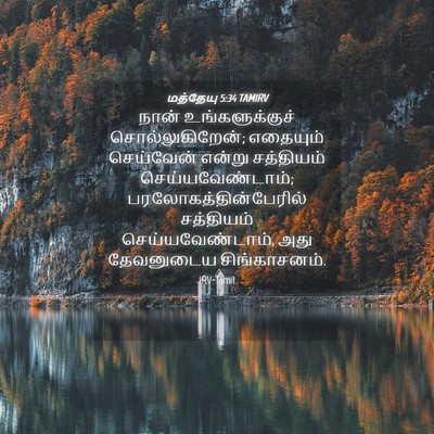 Picture 04 - மத்தேயு 5:34 TAMIRV - நான் உங்களுக்குச் - Bible Verse Picture