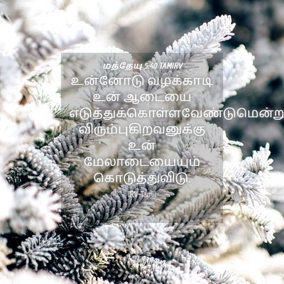 Picture 04 - மத்தேயு 5:40 TAMIRV - உன்னோடு வழக்காடி - Bible Verse Picture