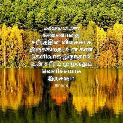 Picture 04 - மத்தேயு 6:22 TAMIRV - கண்ணானது - Bible Verse Picture