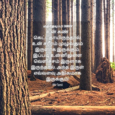 Picture 04 - மத்தேயு 6:23 TAMIRV - உன் கண் - Bible Verse Picture
