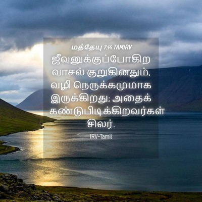 Picture 04 - மத்தேயு 7:14 TAMIRV - ஜீவனுக்குப்போகிற - Bible Verse Picture