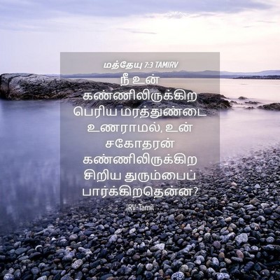 Picture 04 - மத்தேயு 7:3 TAMIRV - நீ உன் - Bible Verse Picture