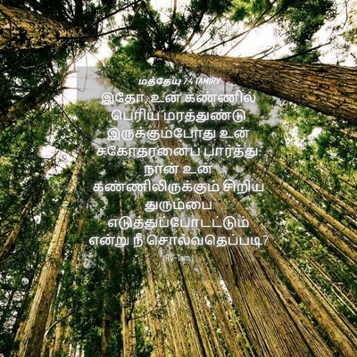 Picture 04 - மத்தேயு 7:4 TAMIRV - இதோ, உன் கண்ணில் - Bible Verse Picture