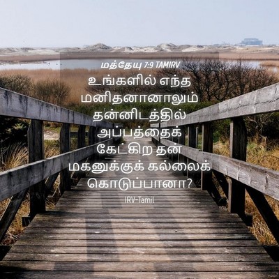 Picture 04 - மத்தேயு 7:9 TAMIRV - உங்களில் எந்த - Bible Verse Picture