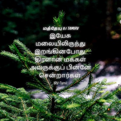 Picture 04 - மத்தேயு 8:1 TAMIRV - இயேசு - Bible Verse Picture
