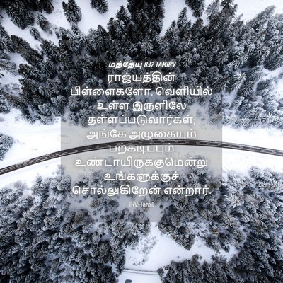 Picture 04 - மத்தேயு 8:12 TAMIRV - ராஜ்யத்தின் - Bible Verse Picture