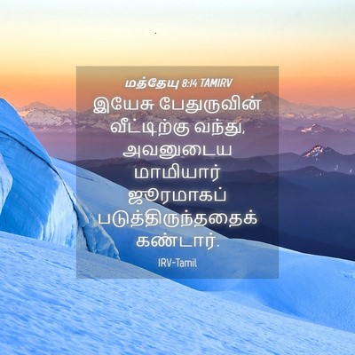 Picture 04 - மத்தேயு 8:14 TAMIRV - இயேசு பேதுருவின் - Bible Verse Picture
