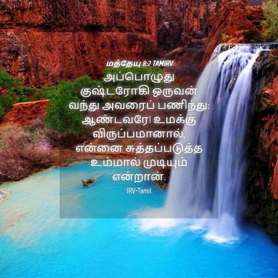 Picture 04 - மத்தேயு 8:2 TAMIRV - அப்பொழுது - Bible Verse Picture