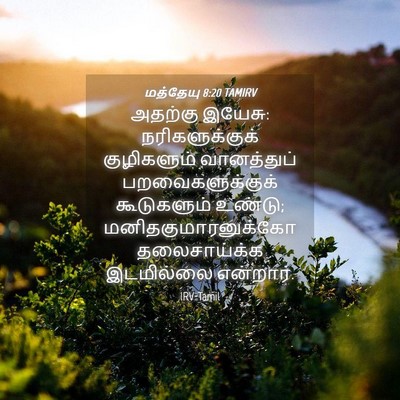 Picture 04 - மத்தேயு 8:20 TAMIRV - அதற்கு இயேசு: - Bible Verse Picture