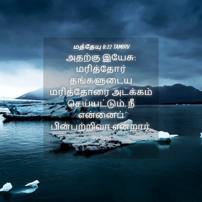Picture 04 - மத்தேயு 8:22 TAMIRV - அதற்கு இயேசு: - Bible Verse Picture
