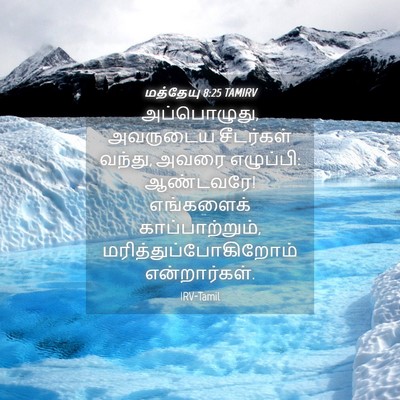 Picture 04 - மத்தேயு 8:25 TAMIRV - அப்பொழுது, - Bible Verse Picture