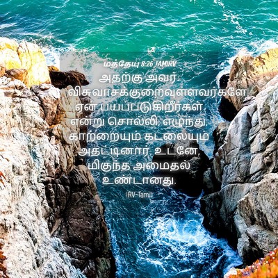 Picture 04 - மத்தேயு 8:26 TAMIRV - அதற்கு அவர்: - Bible Verse Picture