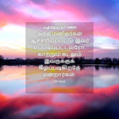 Picture 04 - மத்தேயு 8:27 TAMIRV - அந்த மனிதர்கள் - Bible Verse Picture