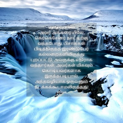 Picture 04 - மத்தேயு 8:28 TAMIRV - அவர் அக்கரையிலே - Bible Verse Picture