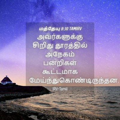 Picture 04 - மத்தேயு 8:30 TAMIRV - அவர்களுக்கு - Bible Verse Picture