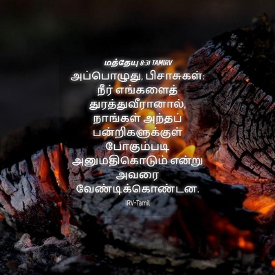 Picture 04 - மத்தேயு 8:31 TAMIRV - அப்பொழுது, - Bible Verse Picture