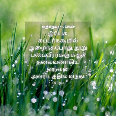 Picture 04 - மத்தேயு 8:5 TAMIRV - இயேசு - Bible Verse Picture
