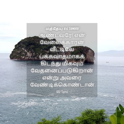 Picture 04 - மத்தேயு 8:6 TAMIRV - ஆண்டவரே! என் - Bible Verse Picture