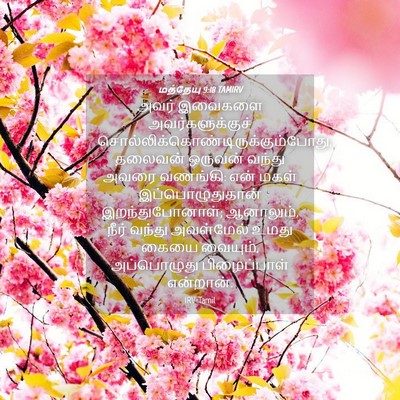 Picture 04 - மத்தேயு 9:18 TAMIRV - அவர் இவைகளை - Bible Verse Picture