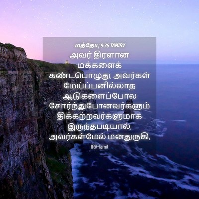 Picture 04 - மத்தேயு 9:36 TAMIRV - அவர் திரளான - Bible Verse Picture