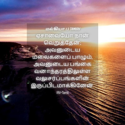 Picture 04 - மல்கியா 1:3 TAMIRV - ஏசாவையோ நான் - Bible Verse Picture
