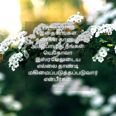 Picture 04 - மல்கியா 1:5 TAMIRV - இதை உங்கள் கண்கள் - Bible Verse Picture