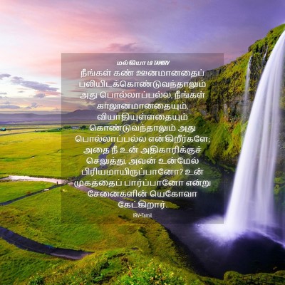 Picture 04 - மல்கியா 1:8 TAMIRV - நீங்கள் கண் - Bible Verse Picture
