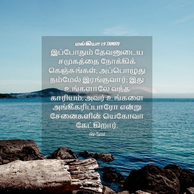 Picture 04 - மல்கியா 1:9 TAMIRV - இப்போதும் - Bible Verse Picture