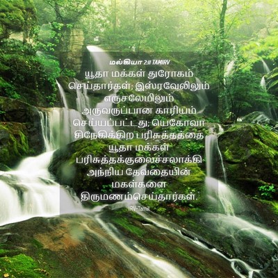 Picture 04 - மல்கியா 2:11 TAMIRV - யூதா மக்கள் - Bible Verse Picture