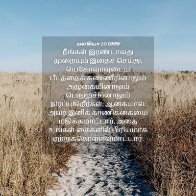 Picture 04 - மல்கியா 2:13 TAMIRV - நீங்கள் இரண்டாவது - Bible Verse Picture