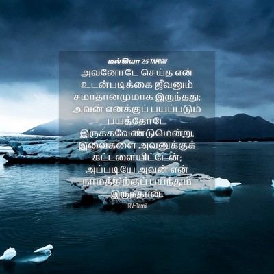 Picture 04 - மல்கியா 2:5 TAMIRV - அவனோடே செய்த என் - Bible Verse Picture