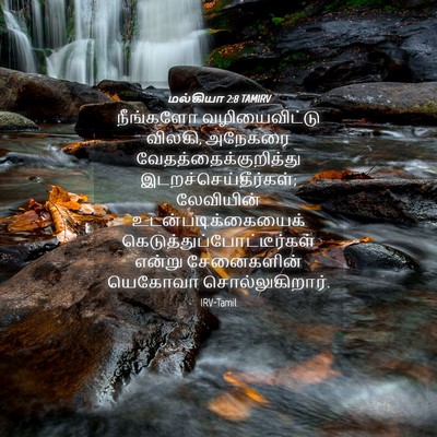 Picture 04 - மல்கியா 2:8 TAMIRV - நீங்களோ - Bible Verse Picture
