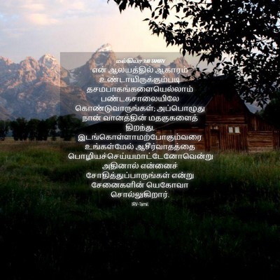 Picture 04 - மல்கியா 3:10 TAMIRV - என் ஆலயத்தில் - Bible Verse Picture
