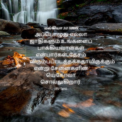 Picture 04 - மல்கியா 3:12 TAMIRV - அப்பொழுது எல்லா - Bible Verse Picture
