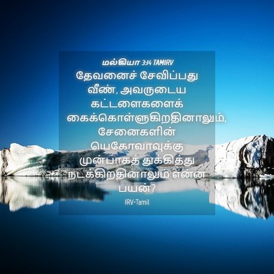 Picture 04 - மல்கியா 3:14 TAMIRV - தேவனைச் சேவிப்பது - Bible Verse Picture