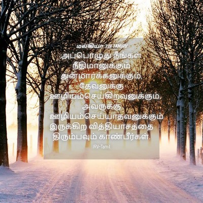 Picture 04 - மல்கியா 3:18 TAMIRV - அப்பொழுது நீங்கள் - Bible Verse Picture
