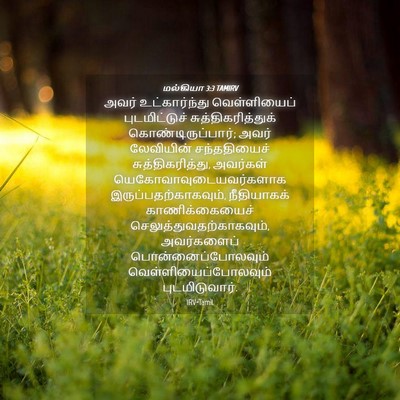 Picture 04 - மல்கியா 3:3 TAMIRV - அவர் உட்கார்ந்து - Bible Verse Picture