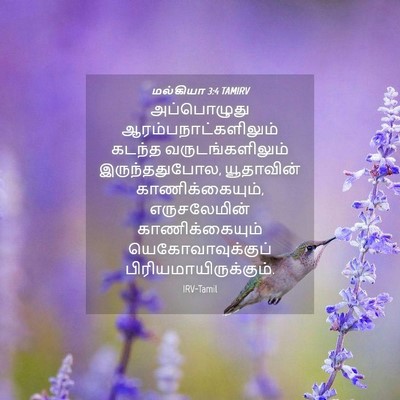 Picture 04 - மல்கியா 3:4 TAMIRV - அப்பொழுது - Bible Verse Picture