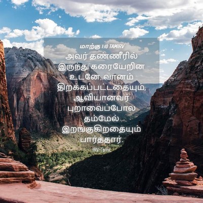 Picture 04 - மாற்கு 1:10 TAMIRV - அவர் தண்ணீரில் - Bible Verse Picture