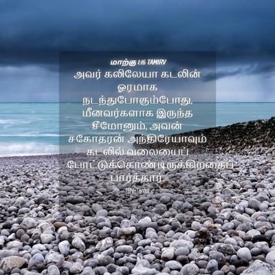 Picture 04 - மாற்கு 1:16 TAMIRV - அவர் கலிலேயா - Bible Verse Picture