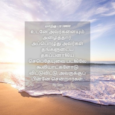 Picture 04 - மாற்கு 1:20 TAMIRV - உடனே அவர்களையும் - Bible Verse Picture