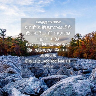 Picture 04 - மாற்கு 1:35 TAMIRV - அவர் அதிகாலையில், - Bible Verse Picture