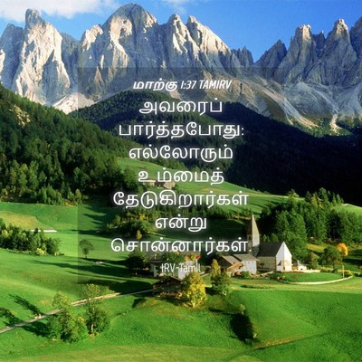 Picture 04 - மாற்கு 1:37 TAMIRV - அவரைப் - Bible Verse Picture