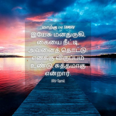 Picture 04 - மாற்கு 1:41 TAMIRV - இயேசு மனதுருகி, - Bible Verse Picture